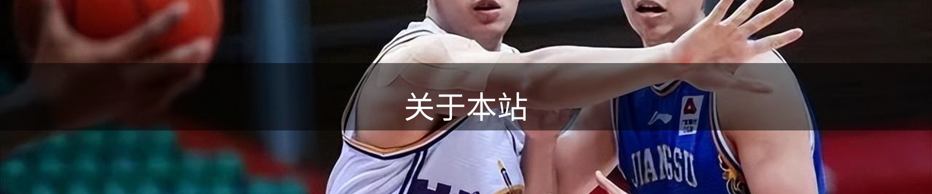 关于本站