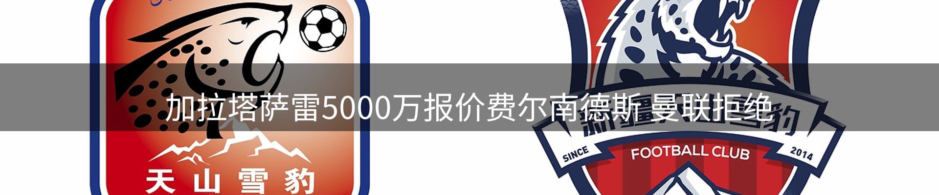 体育资讯